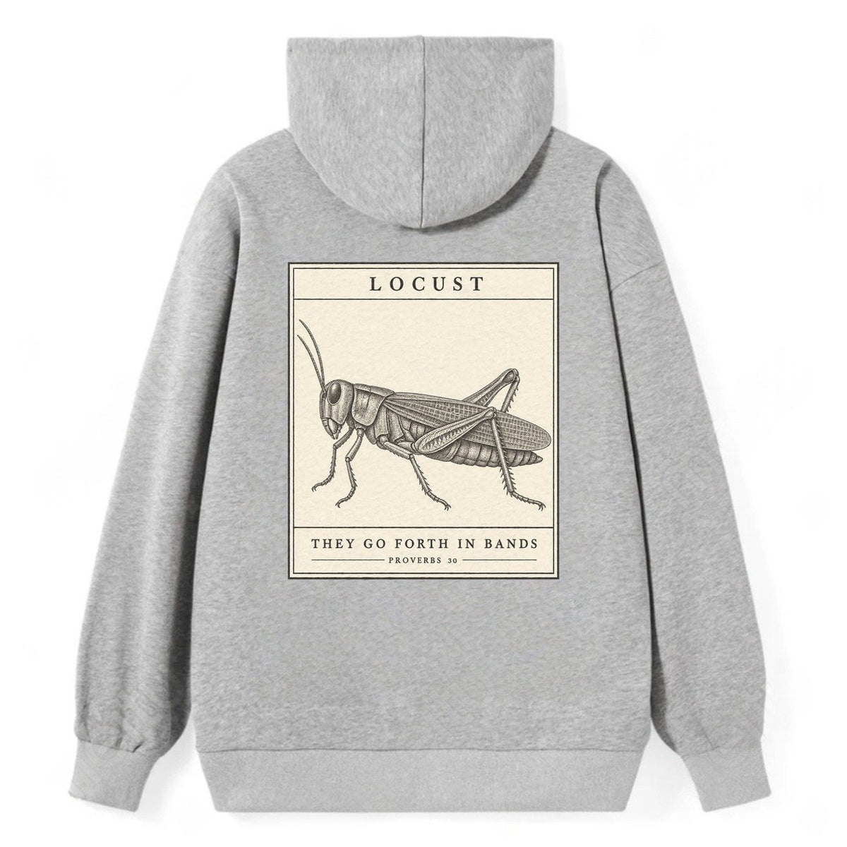Locust Specimen Plate Creature Canticle Classic Pullover Hoodie – Grey