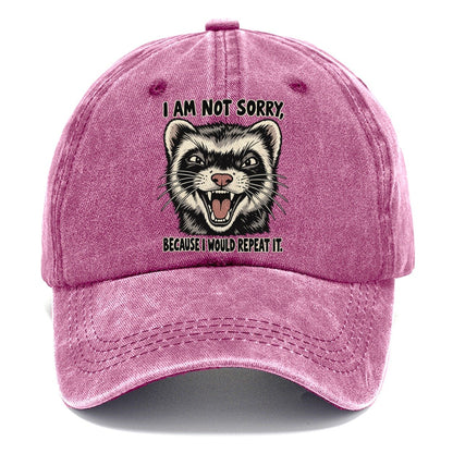 I Am Not Sorry Feral Logic Classic Cap – Dusty Rose