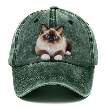 Birman Reclining Paws Forward Realistic Cat Portrait Classic Cap – Forest Mist