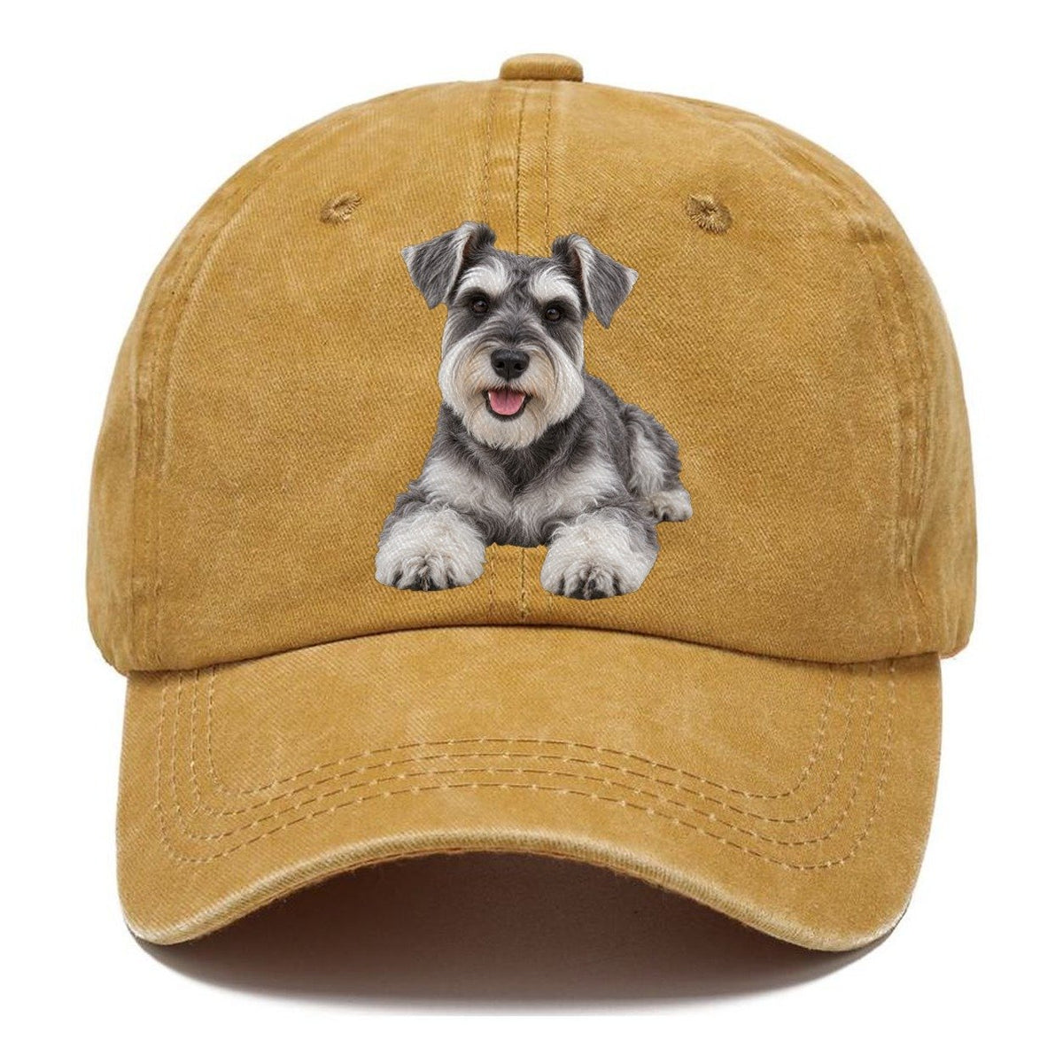 Miniature Schnauzer Lying Down Top Breeds Classic Cap – Golden Harvest
