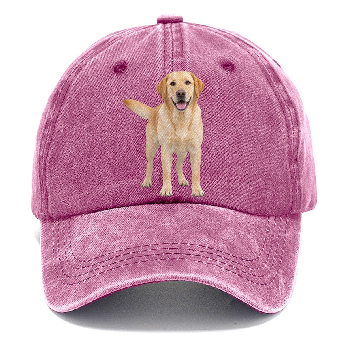 Labrador Retriever Standing Top Breeds Classic Cap – Dusty Rose