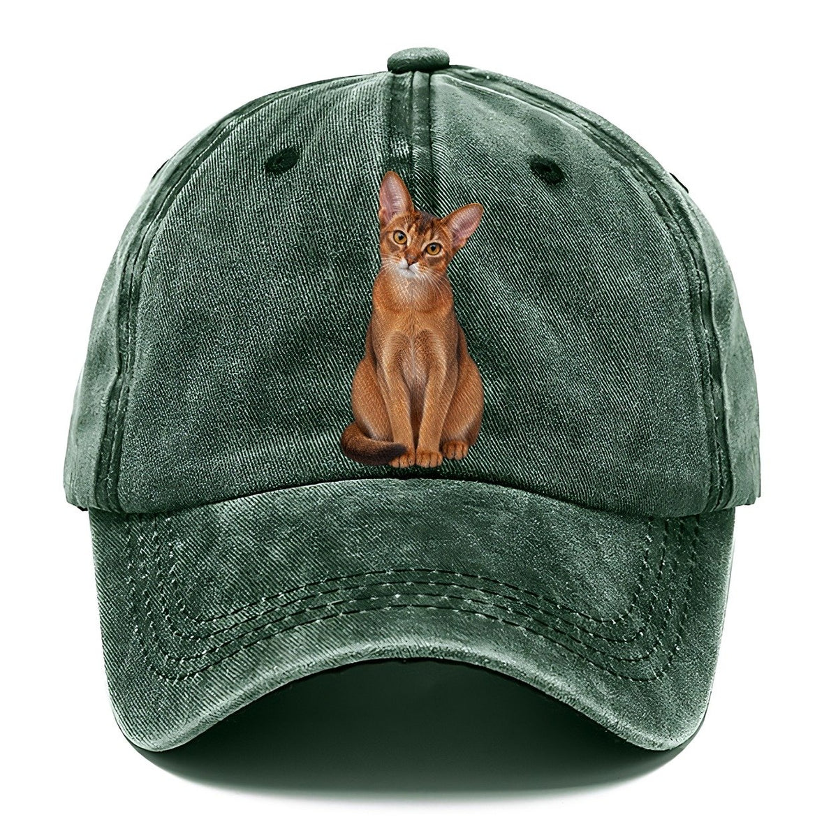 Abyssinian Seated Portrait Realistic Cat Portrait Classic Cap – Forest Mist