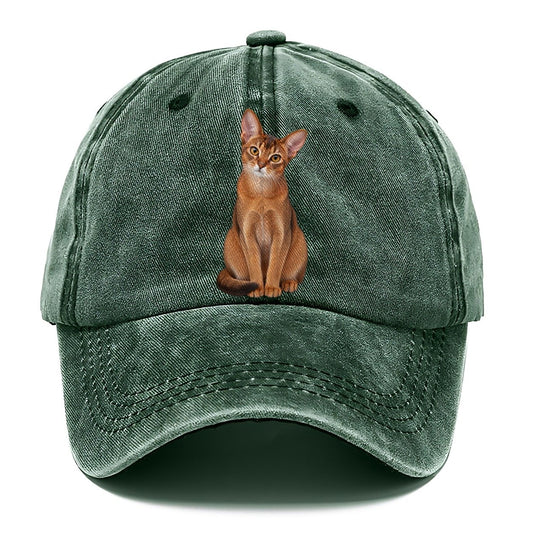 Abyssinian Seated Portrait Realistic Cat Portrait Classic Cap – Forest Mist