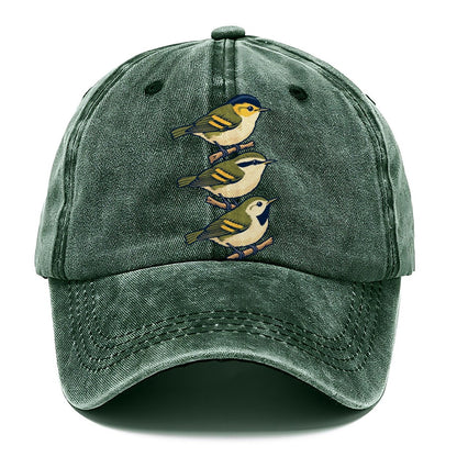 Woodland Warbler Set Birdwatching Classic Cap – Forest Mist