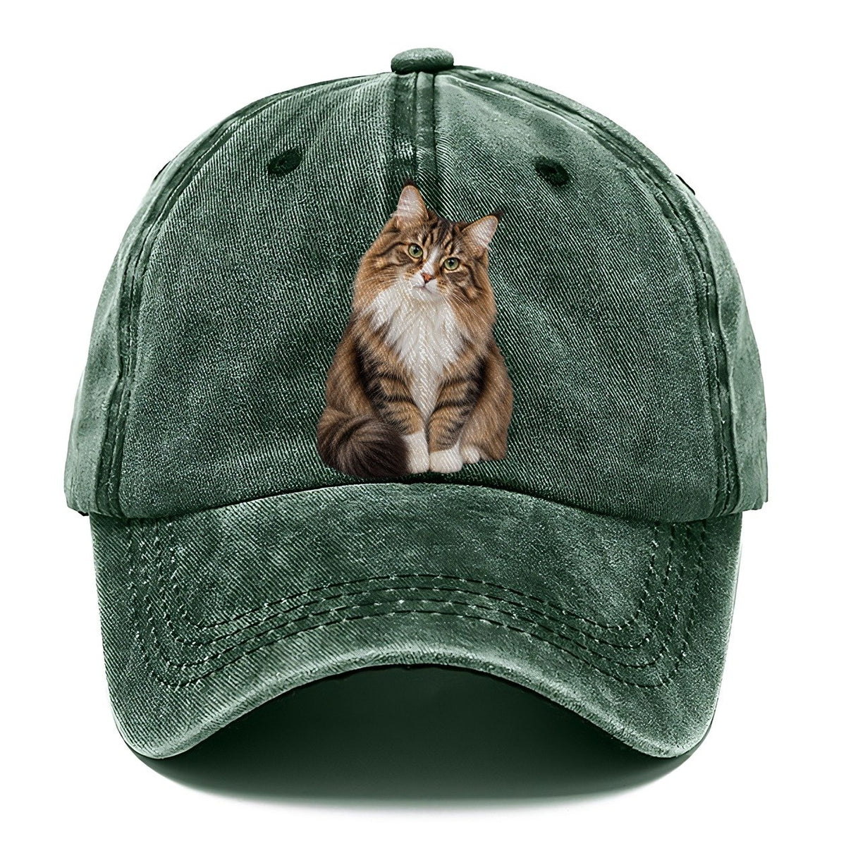 Norwegian Forest Cat Seated Portrait Realistic Cat Portrait Classic Cap – Forest Mist