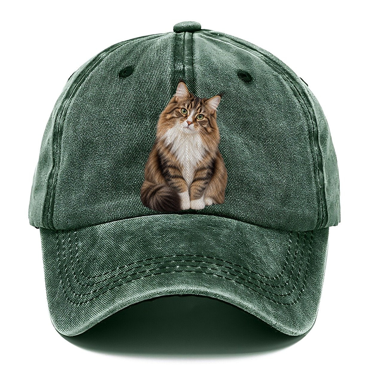 Norwegian Forest Cat Seated Portrait Realistic Cat Portrait Classic Cap – Forest Mist