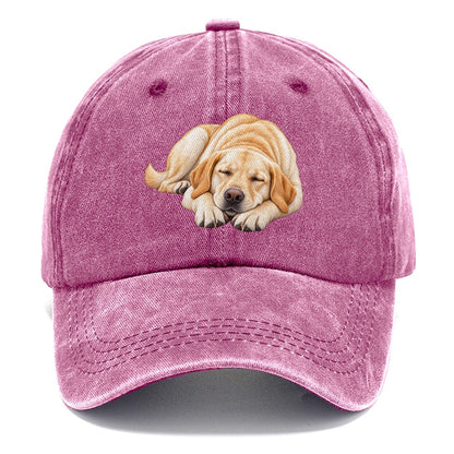 Abstract Labrador Play Bow Classic Cap – Dusty Rose