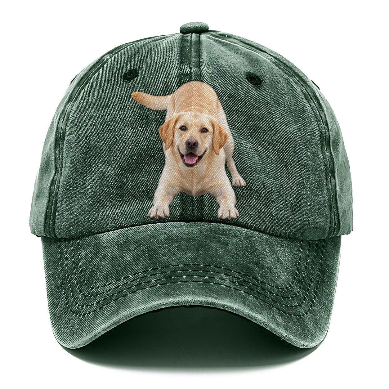 Labrador Retriever Play Bow Top Breeds Classic Cap – Forest Mist