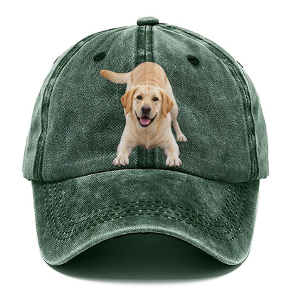 Labrador Retriever Play Bow Top Breeds Classic Cap – Forest Mist