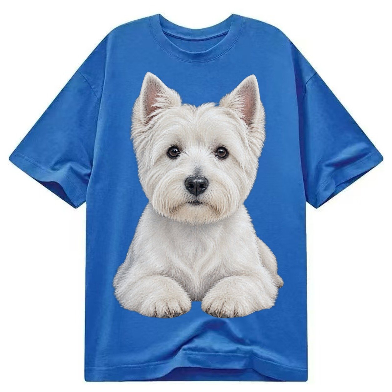 Pickleball Classic T-shirt – Blue