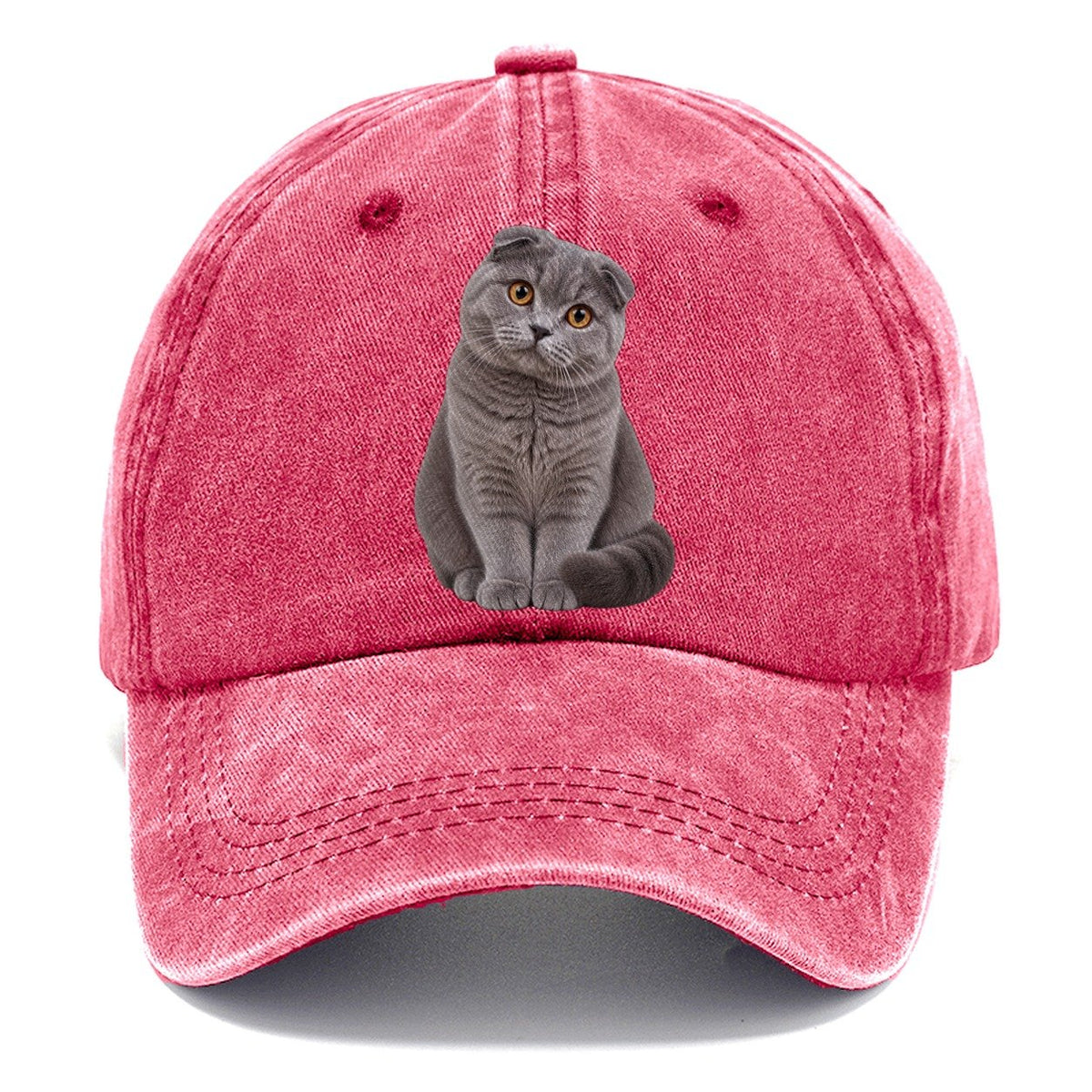 Scottish Fold Seated Portrait Realistic Cat Portrait Classic Cap – Pomegranate Blush
