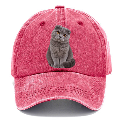 Scottish Fold Seated Portrait Realistic Cat Portrait Classic Cap – Pomegranate Blush