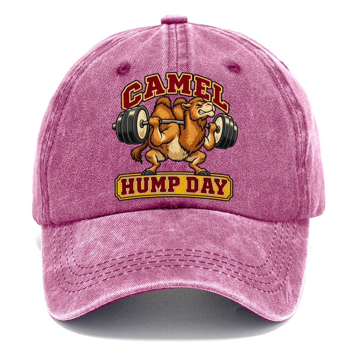 Camel Hump Day Animal Lifters Classic Cap – Dusty Rose