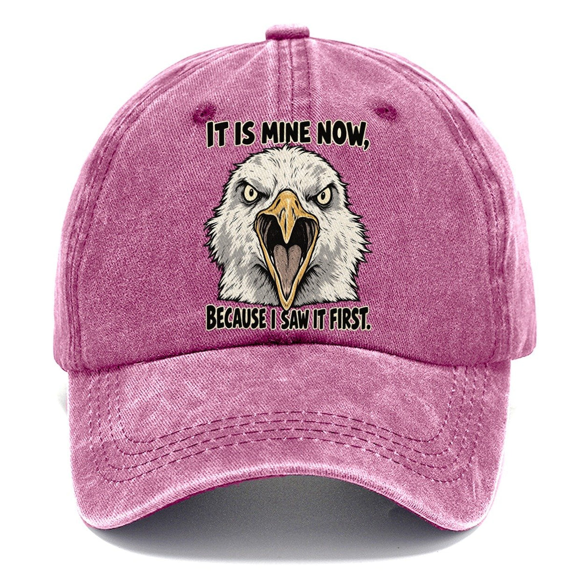 It Is Mine Now Feral Logic Classic Cap – Dusty Rose