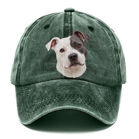 Staffy Curious Eye Patch Pastimes Companions Classic Cap – Forest Mist
