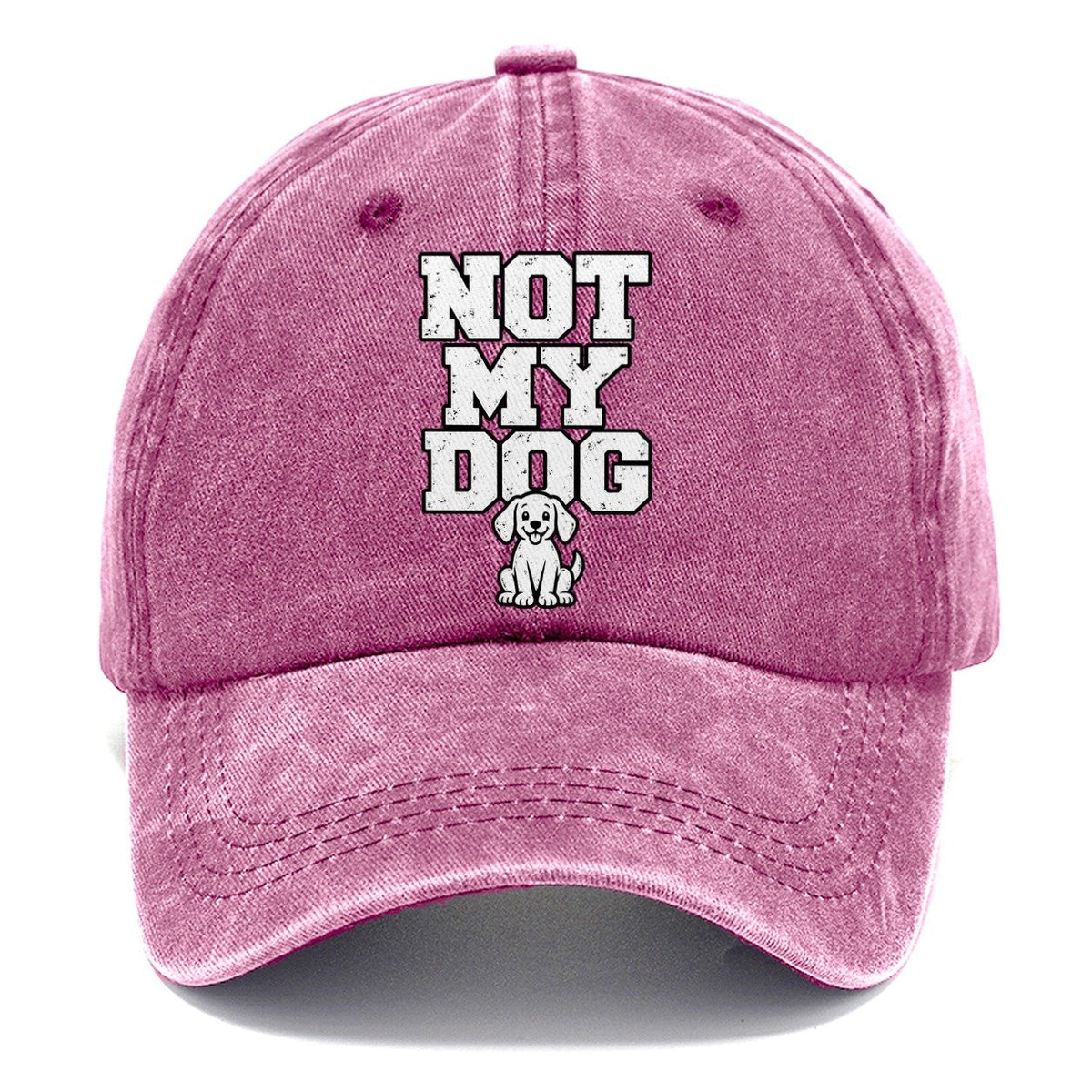 Not My Dog Classic Cap – Dusty Rose