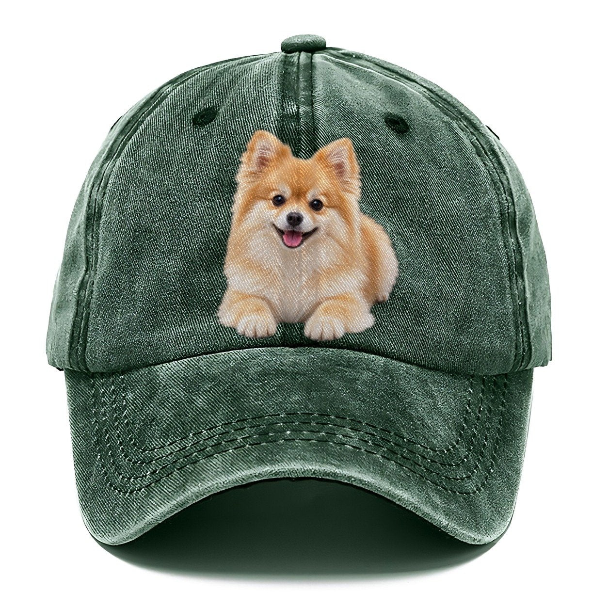 Pomeranian Lying Down Top Breeds Classic Cap – Forest Mist