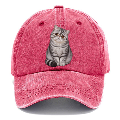 Exotic Shorthair Seated Portrait Realistic Cat Portrait Classic Cap – Pomegranate Blush