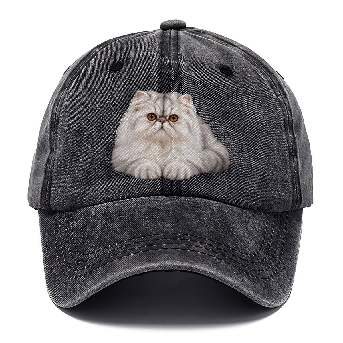 Persian Reclining Paws Forward Realistic Cat Portrait Classic Cap – Graphite