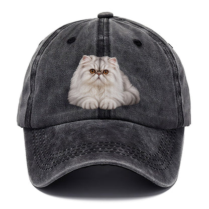 Persian Reclining Paws Forward Realistic Cat Portrait Classic Cap – Graphite