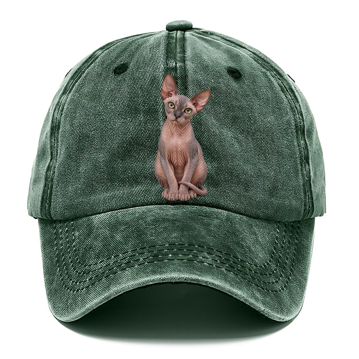 Sphynx Seated Portrait Realistic Cat Portrait Classic Cap – Forest Mist