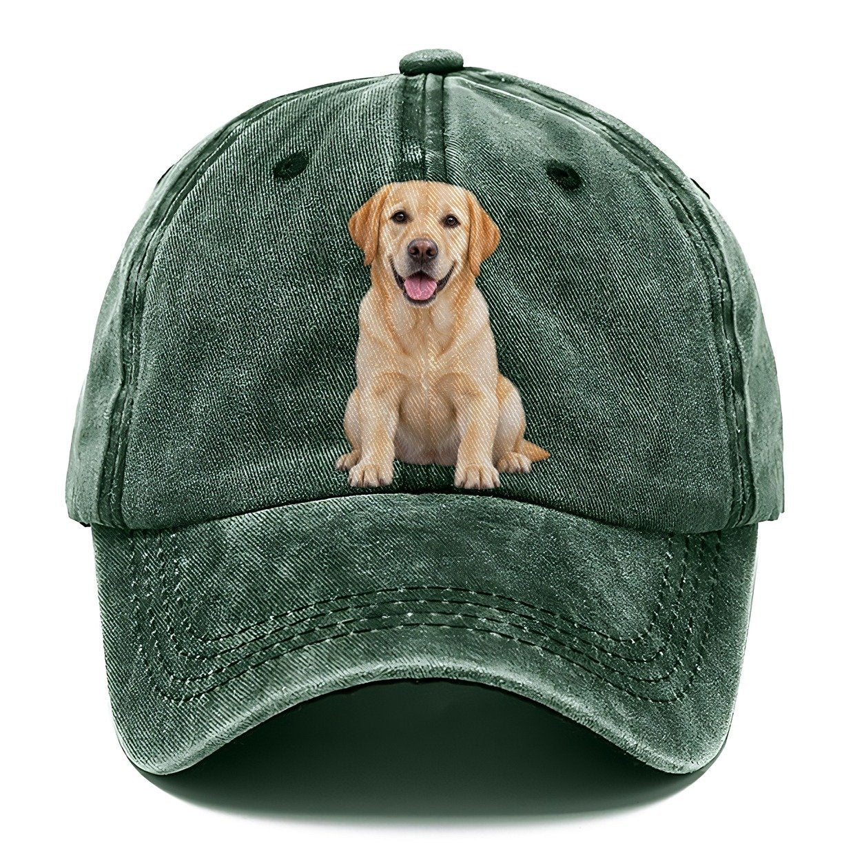 Labrador Retriever Sitting Top Breeds Classic Cap – Forest Mist