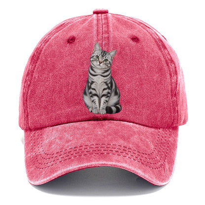 American Shorthair Seated Portrait Realistic Cat Portrait Classic Cap – Pomegranate Blush
