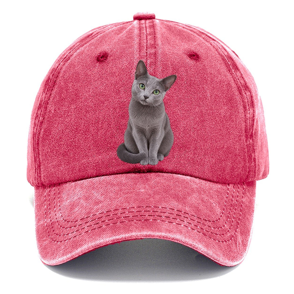 Russian Blue Seated Portrait Realistic Cat Portrait Classic Cap – Pomegranate Blush