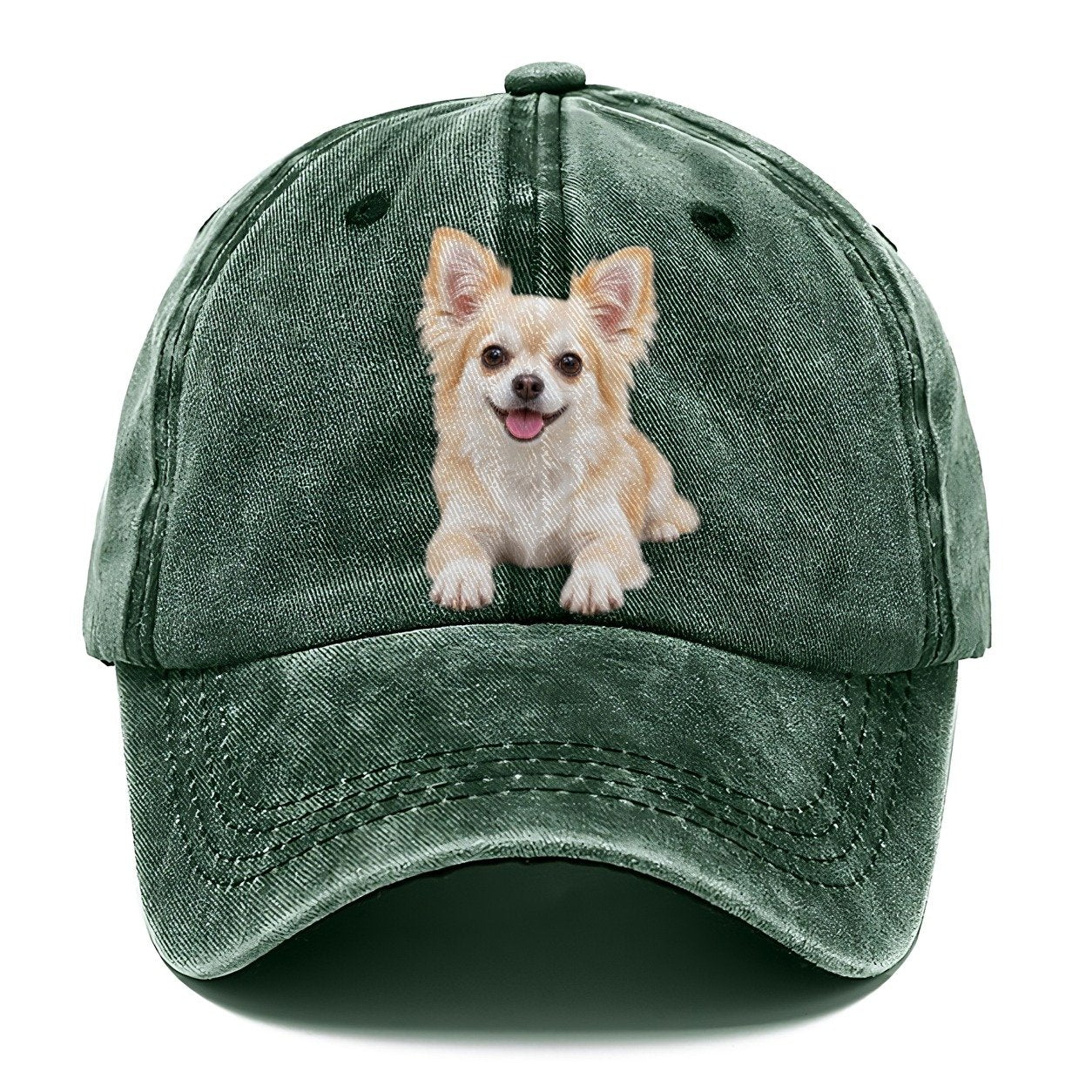 Chihuahua Lying Down Top Breeds Classic Cap – Forest Mist