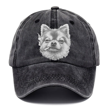 Pomeranian A Lit Cigarette Smoking Dogs Smoking Dogs Portraits Classic Cap – Graphite