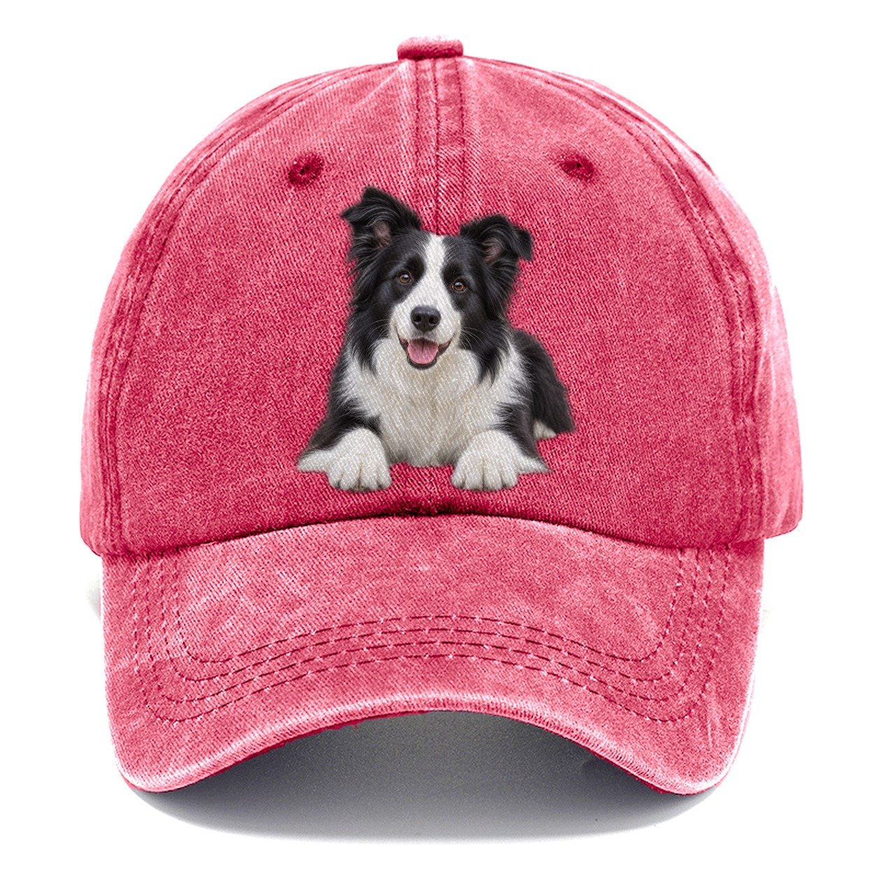 Border Collie Lying Down Top Breeds Classic Cap – Pomegranate Blush