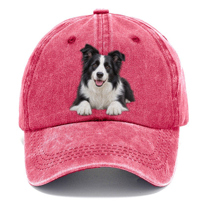 Border Collie Lying Down Top Breeds Classic Cap – Pomegranate Blush