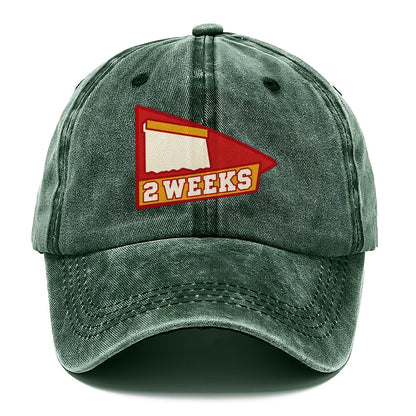Two Weeks Classic Cap – Forest Mist