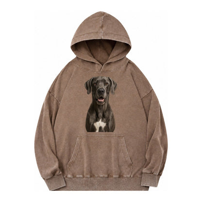 Great Dane Gentle Giant Noble Heart Vintage Washed Hoodie – Brown