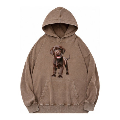 Chocolate Labrador Vintage Washed Hoodie – Brown