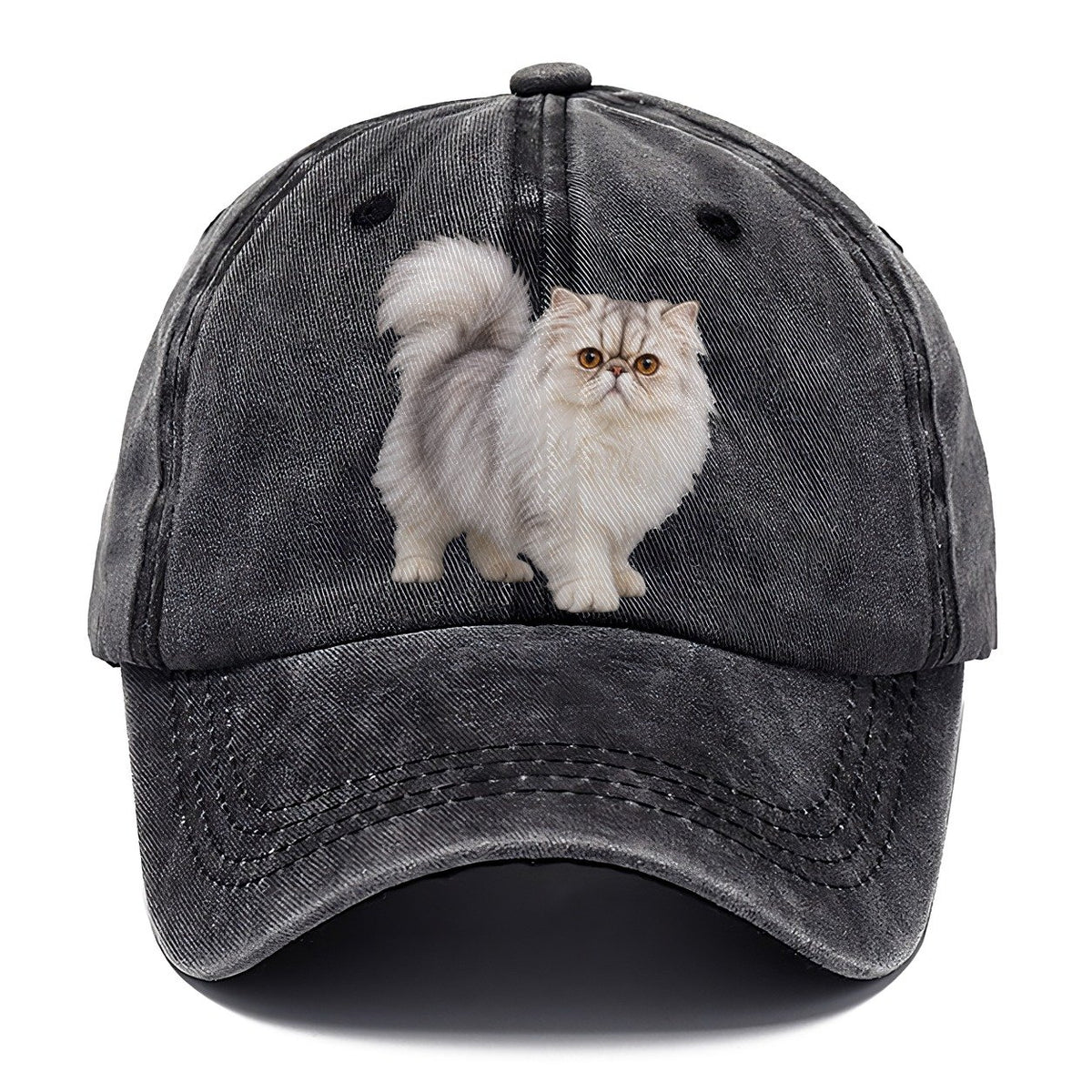 Persian Standing Three Quarter Realistic Cat Portrait Classic Cap – Graphite
