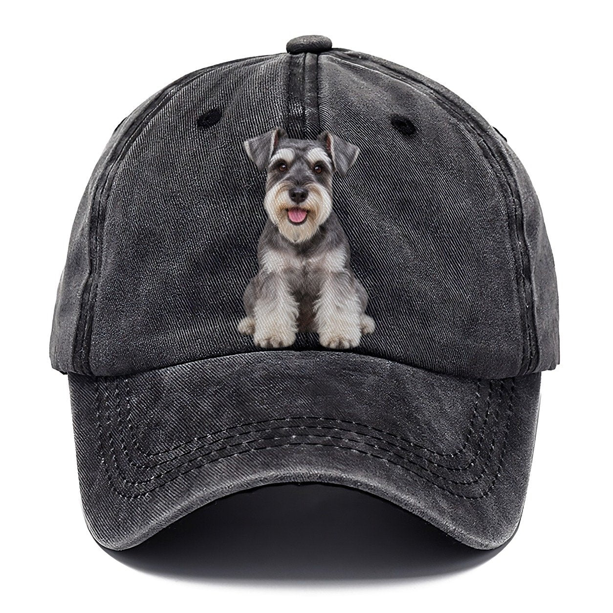 Miniature Schnauzer Sitting Top Breeds Classic Cap – Graphite
