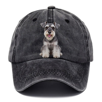 Miniature Schnauzer Sitting Top Breeds Classic Cap – Graphite