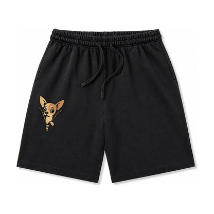 Chihuahua Apple Head Large Pointed Ears Big Round Eyes Tiny Washed Shorts – Black