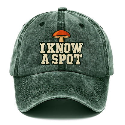 I Know A Spot Foraging And Mycology Classic Cap – Forest Mist