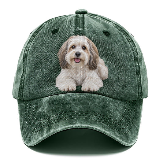 Havanese Lying Down Top Breeds Classic Cap – Forest Mist