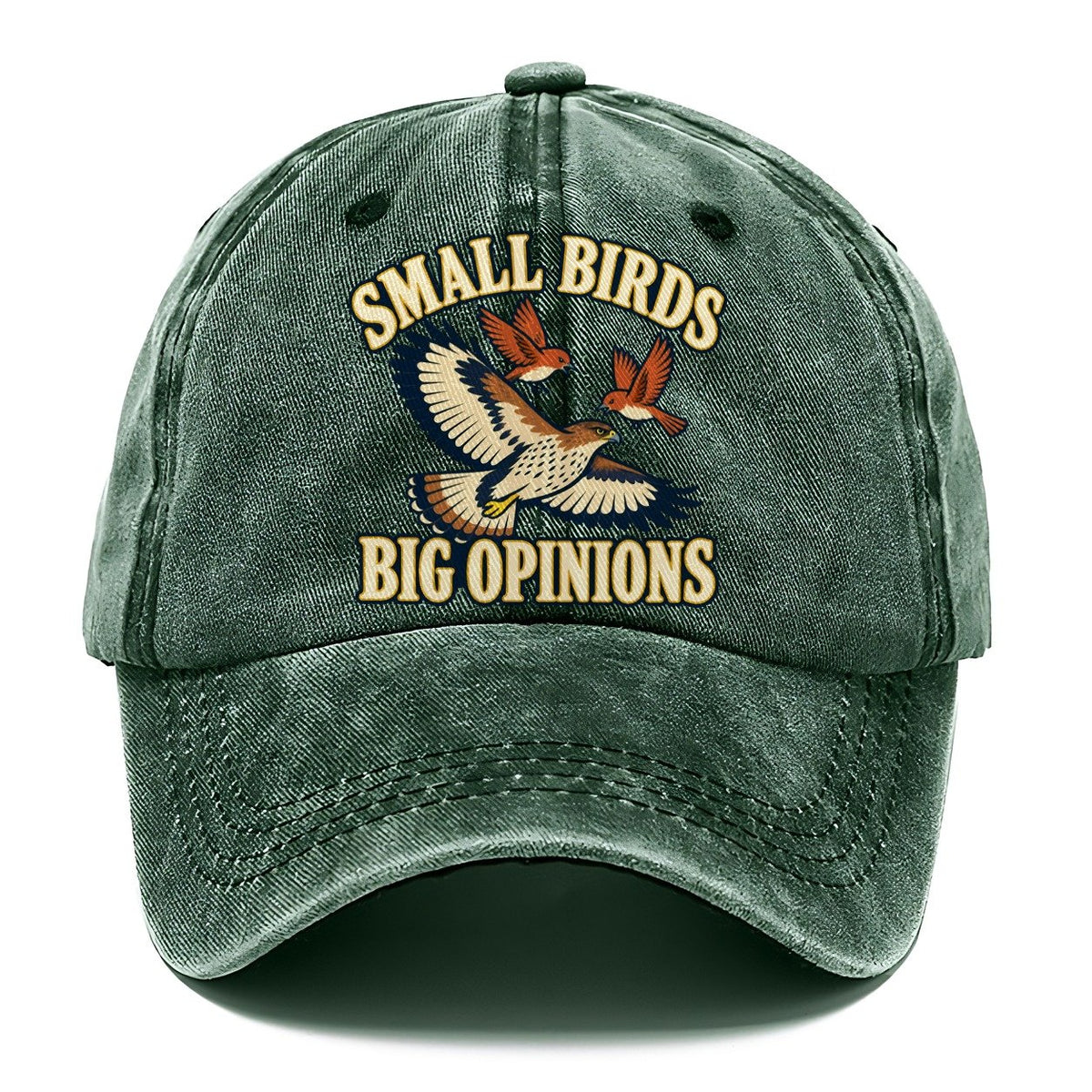 Small Birds Big Opinions Birdwatching Classic Cap – Forest Mist