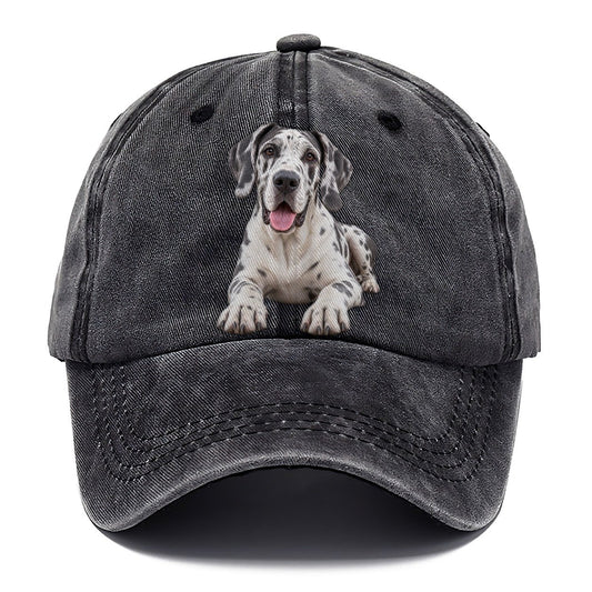 Great Dane Lying Down Top Breeds Classic Cap – Graphite