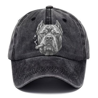 Cane Corso A Lit Cigar Smoking Dogs Smoking Dogs Portraits Classic Cap – Graphite