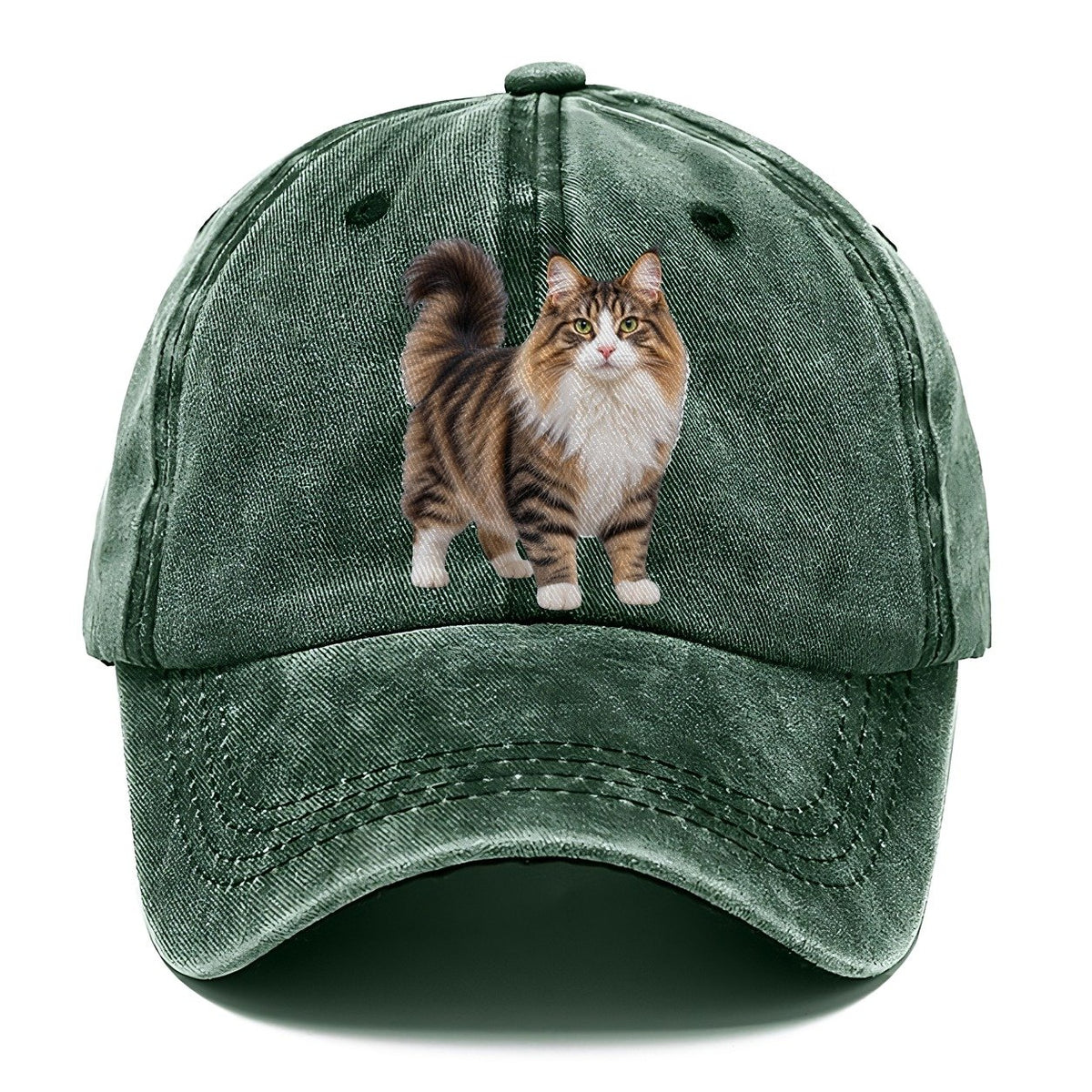 Norwegian Forest Cat Standing Three Quarter Realistic Cat Portrait Classic Cap – Forest Mist