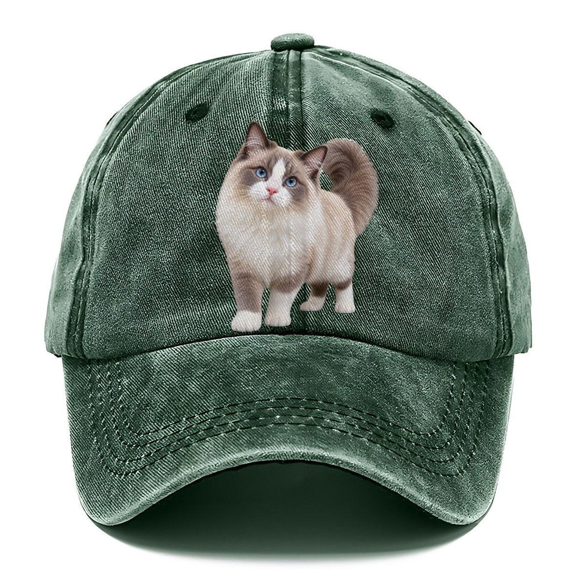 Ragdoll Standing Three Quarter Realistic Cat Portrait Classic Cap – Forest Mist