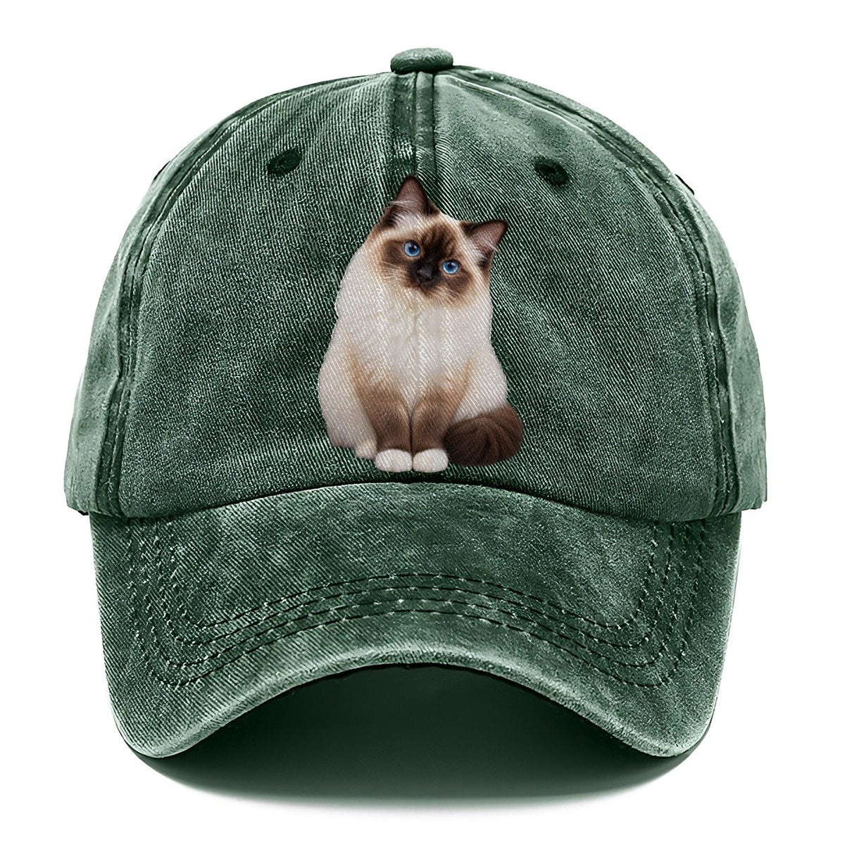 Birman Seated Portrait Realistic Cat Portrait Classic Cap – Forest Mist