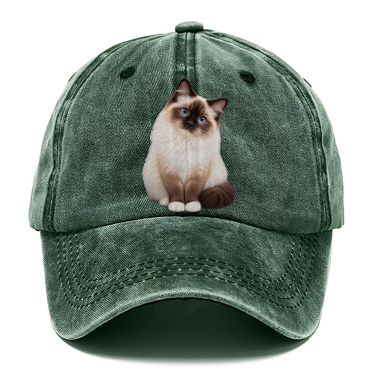 Birman Seated Portrait Realistic Cat Portrait Classic Cap – Forest Mist