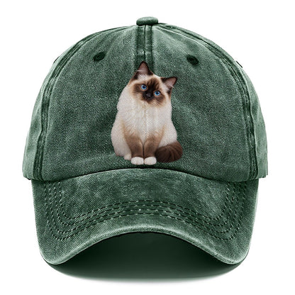 Birman Seated Portrait Realistic Cat Portrait Classic Cap – Forest Mist