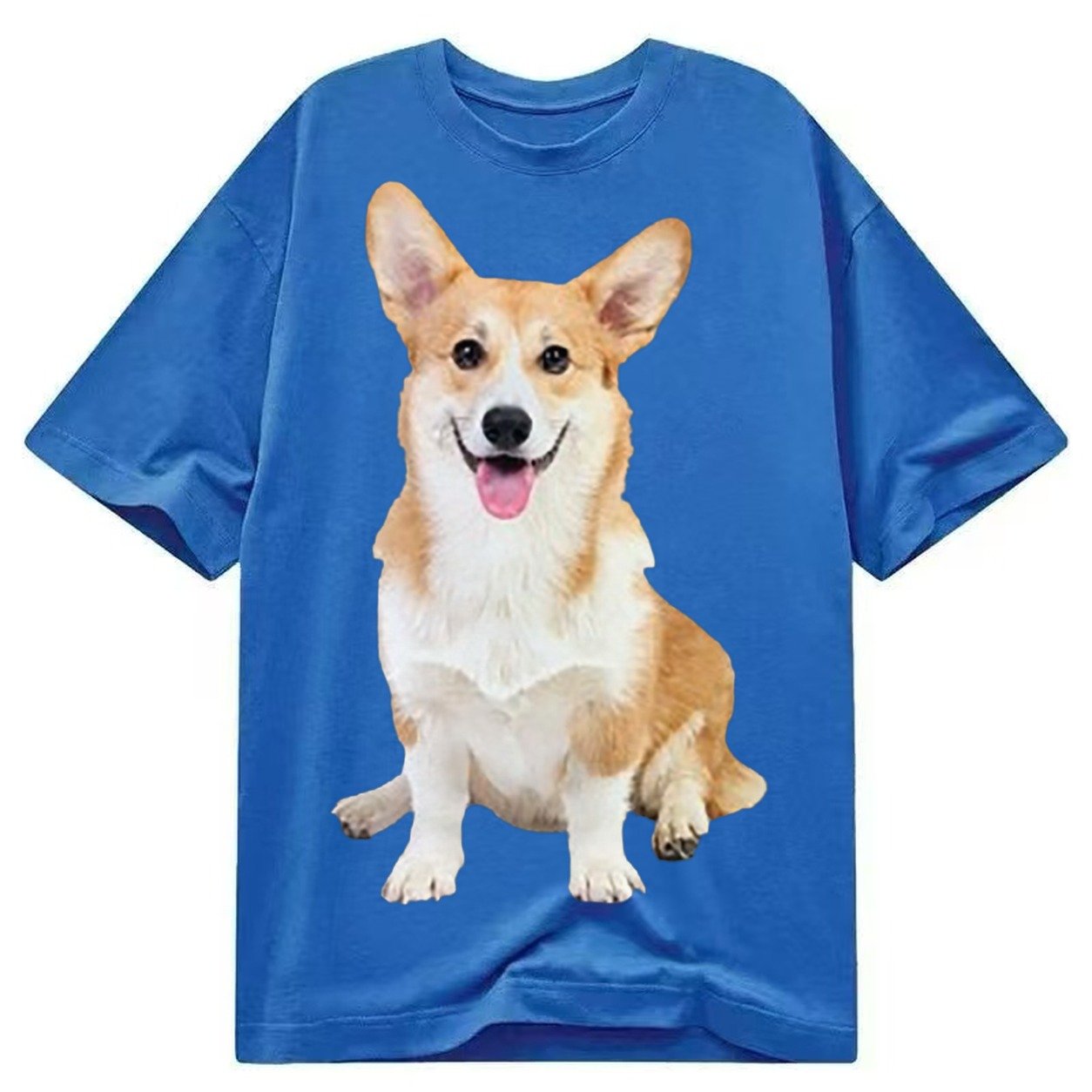 Welsh Corgi Owner Owner Classic T-shirt – Blue